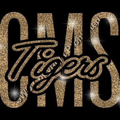 GLT95 GOLD GLITTER Thumbnail