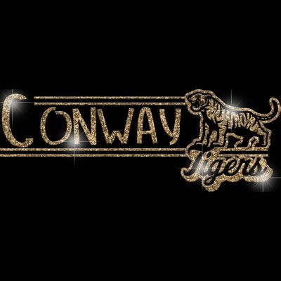 GLT101 GOLD GLITTER Thumbnail